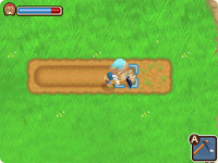 harvest moon tale of two towns crops