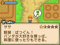 harvest moon tale of two towns recipe list