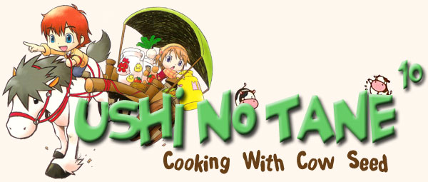 harvest moon tale of two towns cooking